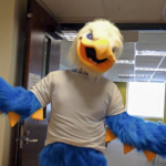 Introducing “Joe Eagle, IAU’s Official Mascot